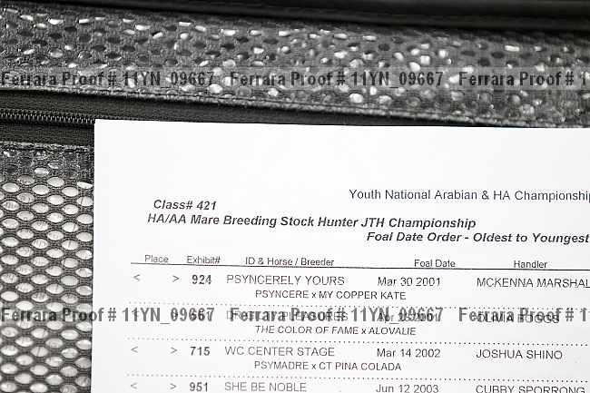Proof 11yn_09667