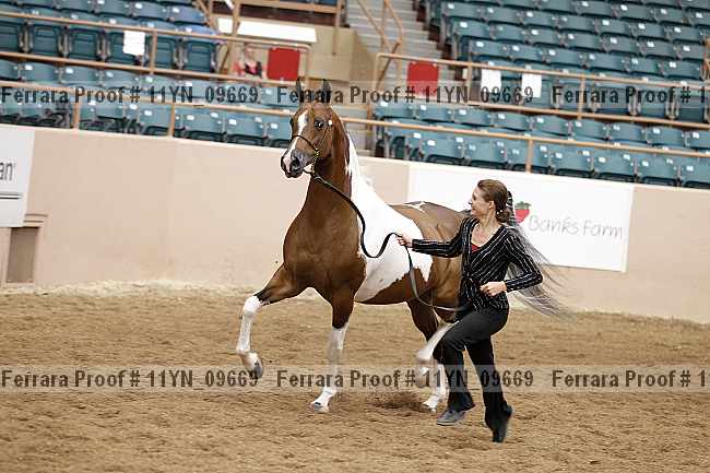 Proof 11yn_09669