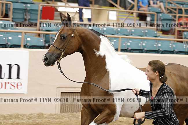 Proof 11yn_09670
