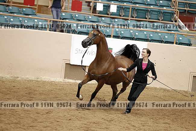 Proof 11yn_09674