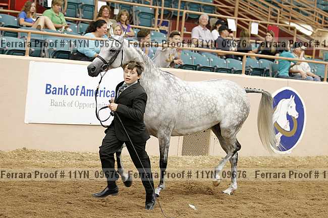 Proof 11yn_09676