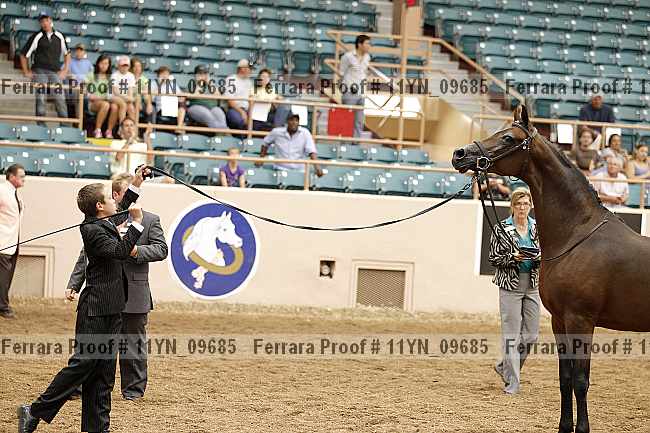 Proof 11yn_09685