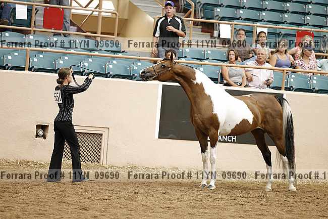 Proof 11yn_09690