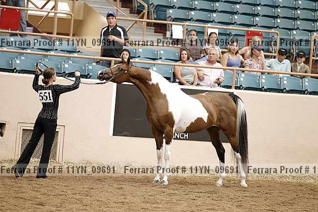 Proof 11yn_09691