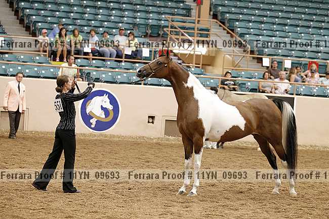 Proof 11yn_09693