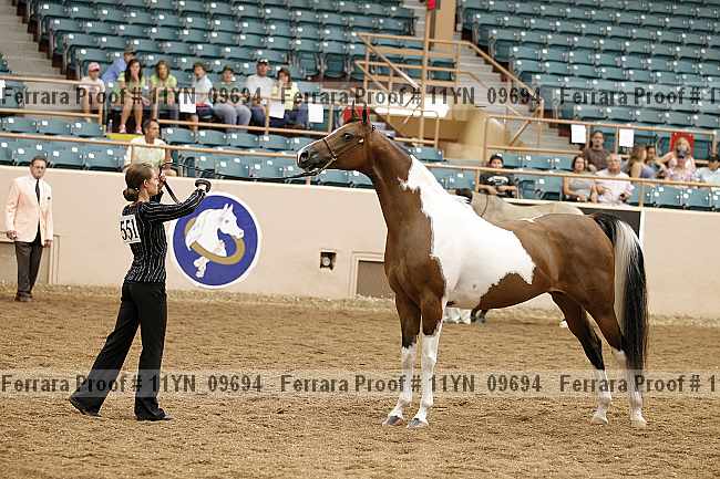 Proof 11yn_09694