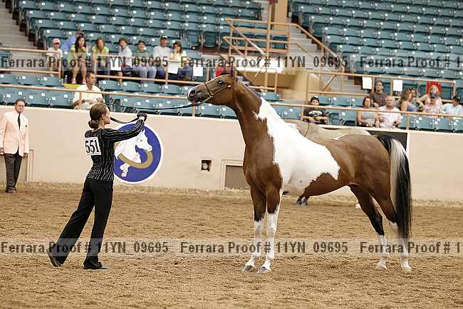 Proof 11yn_09695