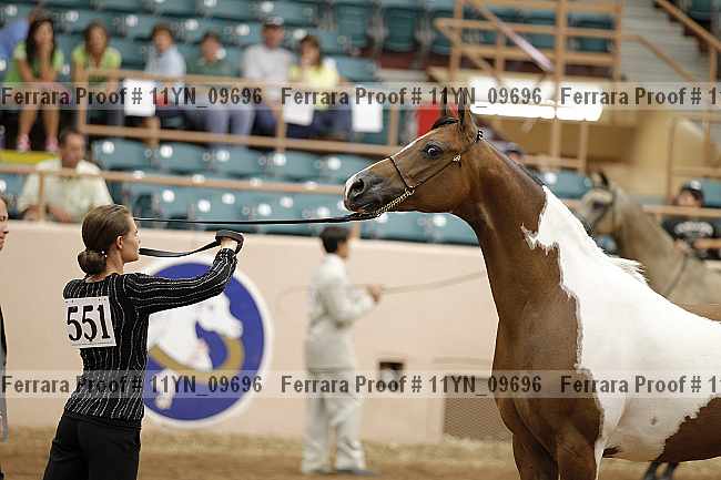 Proof 11yn_09696