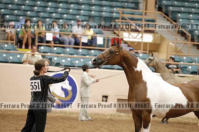 Proof 11yn_09697