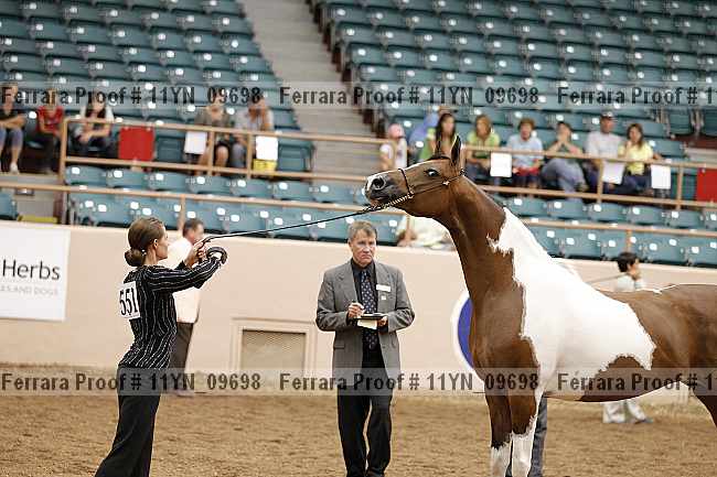 Proof 11yn_09698