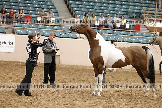 Proof 11yn_09699