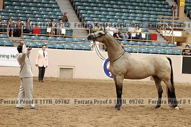 Proof 11yn_09702