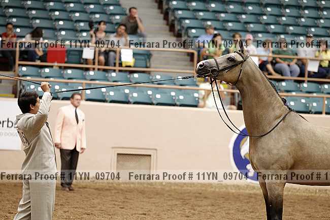 Proof 11yn_09704