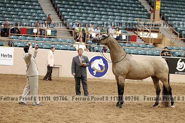 Proof 11yn_09706