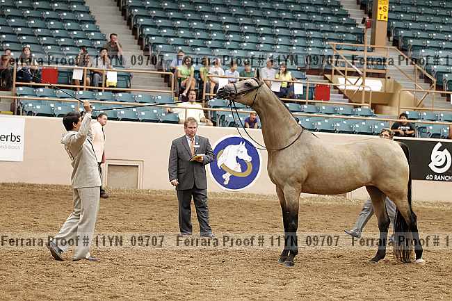 Proof 11yn_09707