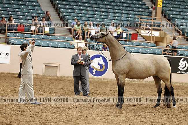 Proof 11yn_09708