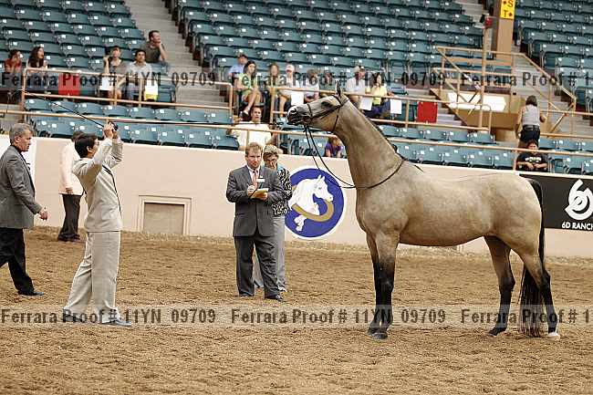 Proof 11yn_09709