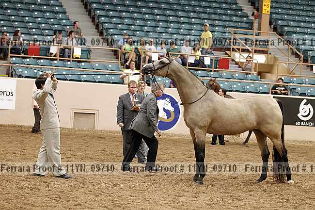 Proof 11yn_09710