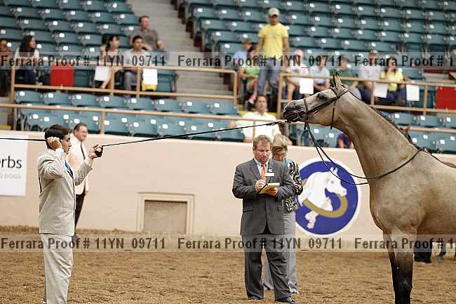 Proof 11yn_09711