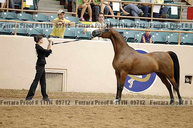 Proof 11yn_09712