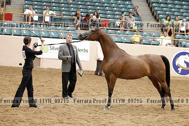 Proof 11yn_09715