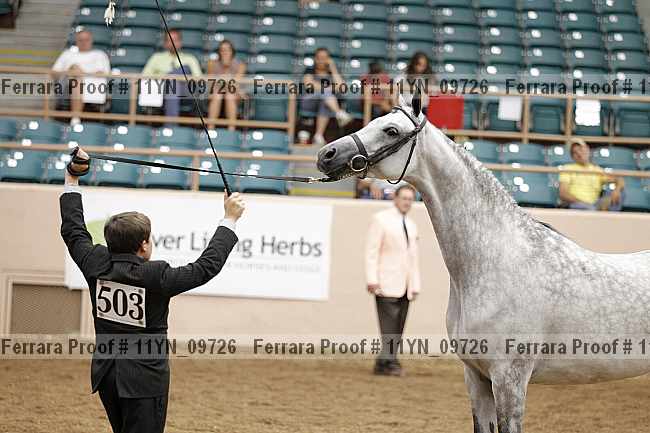 Proof 11yn_09726
