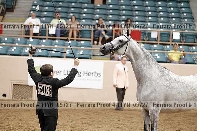 Proof 11yn_09727