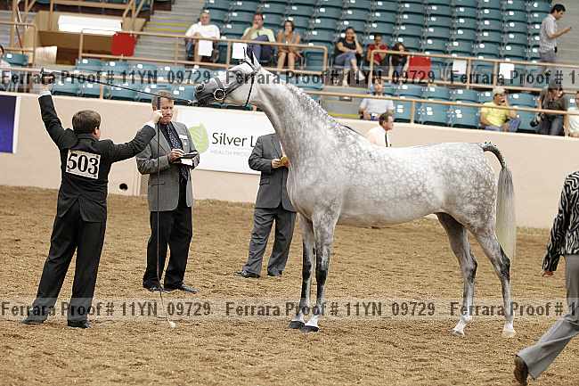 Proof 11yn_09729