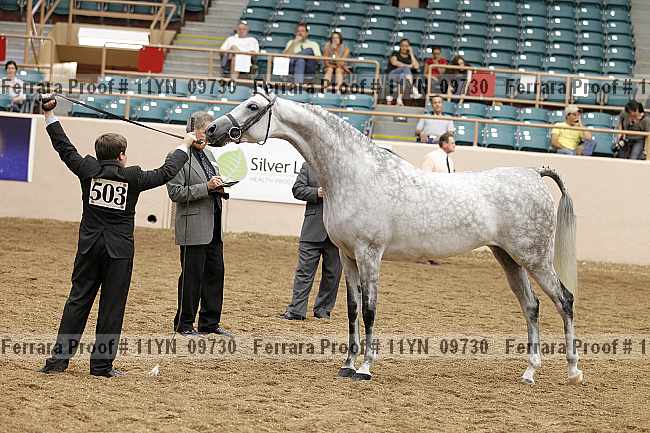 Proof 11yn_09730