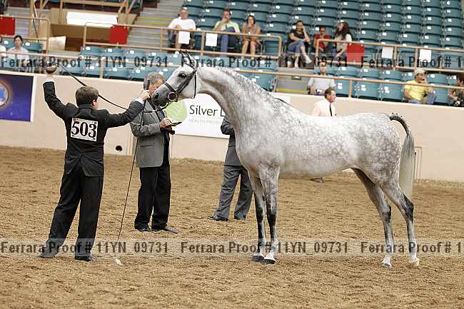 Proof 11yn_09731