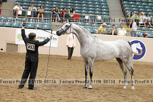Proof 11yn_09734
