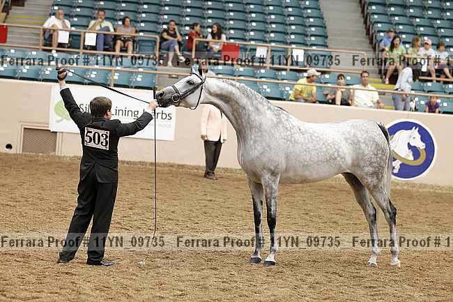 Proof 11yn_09735