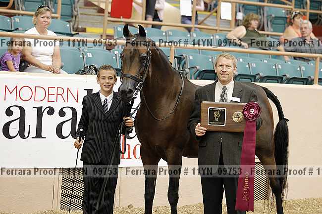 Proof 11yn_09753