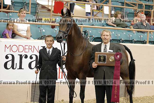 Proof 11yn_09754