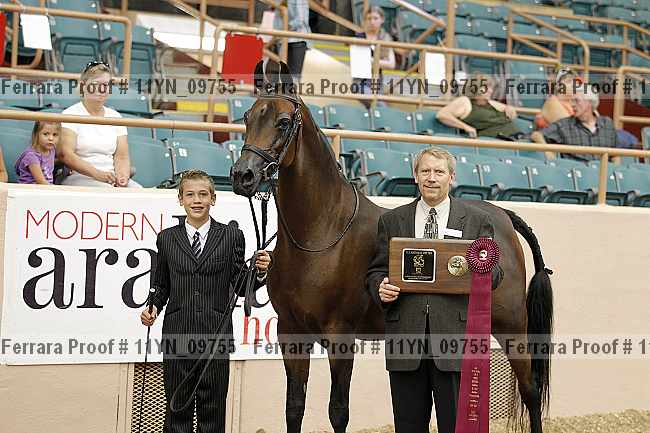 Proof 11yn_09755