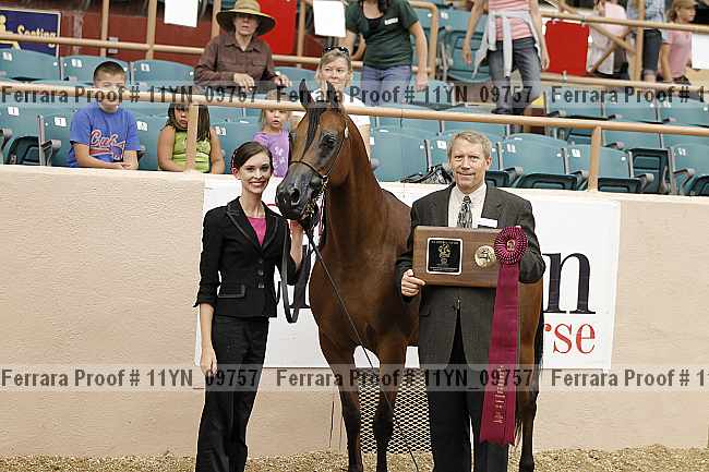 Proof 11yn_09757