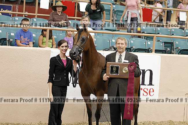 Proof 11yn_09758
