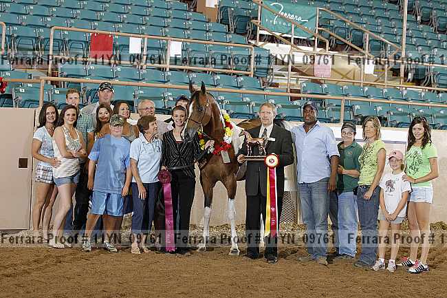 Proof 11yn_09761
