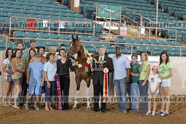 Proof 11yn_09763