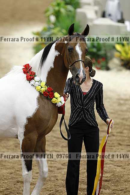 Proof 11yn_09764