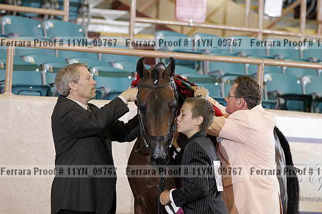 Proof 11yn_09767