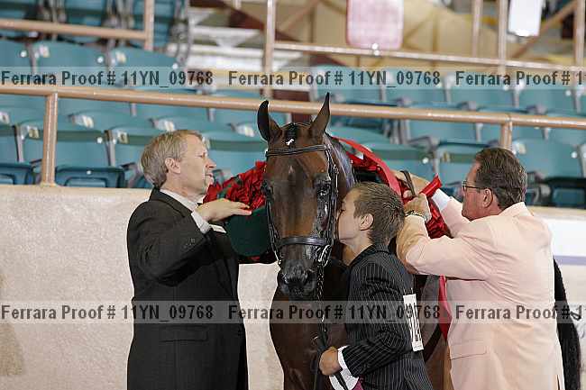 Proof 11yn_09768