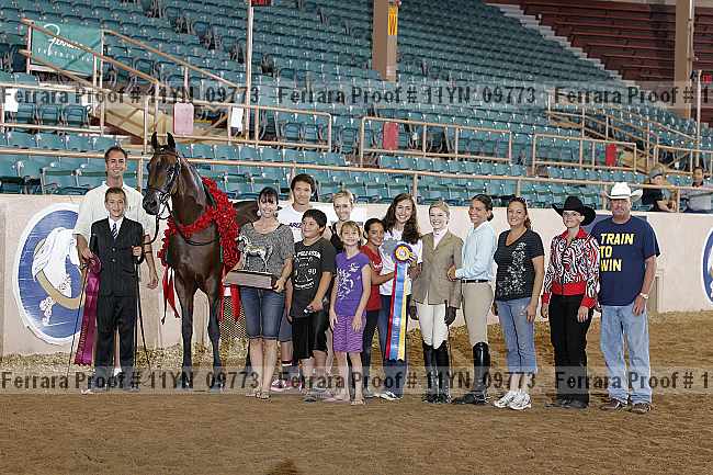 Proof 11yn_09773