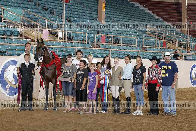 Proof 11yn_09774