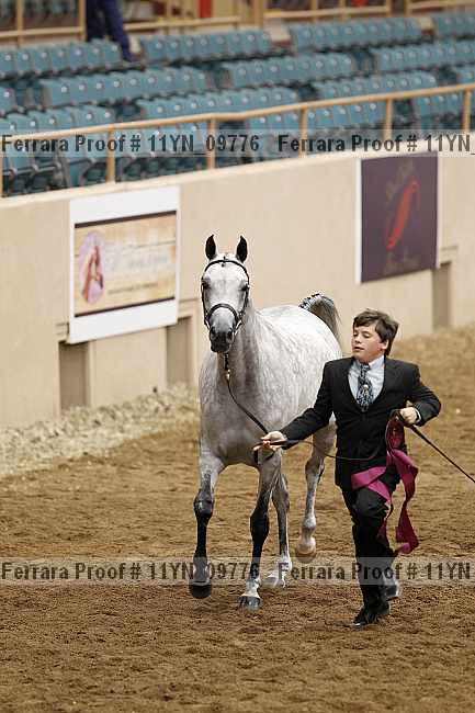 Proof 11yn_09776