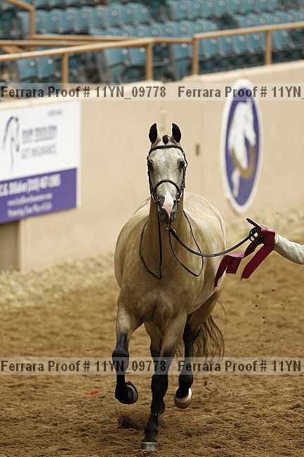 Proof 11yn_09778