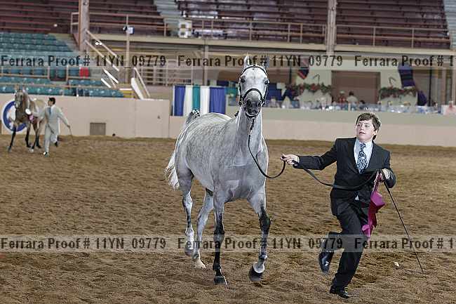 Proof 11yn_09779