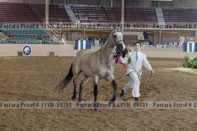 Proof 11yn_09781