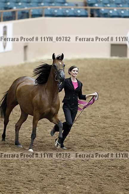 Proof 11yn_09782