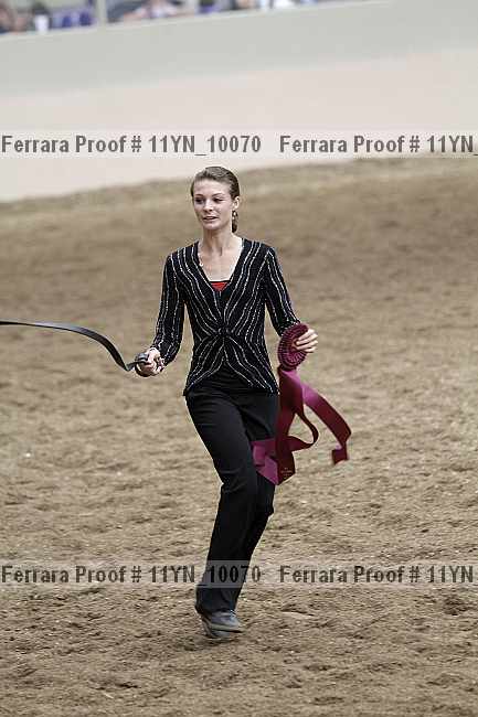 Proof 11yn_10070
